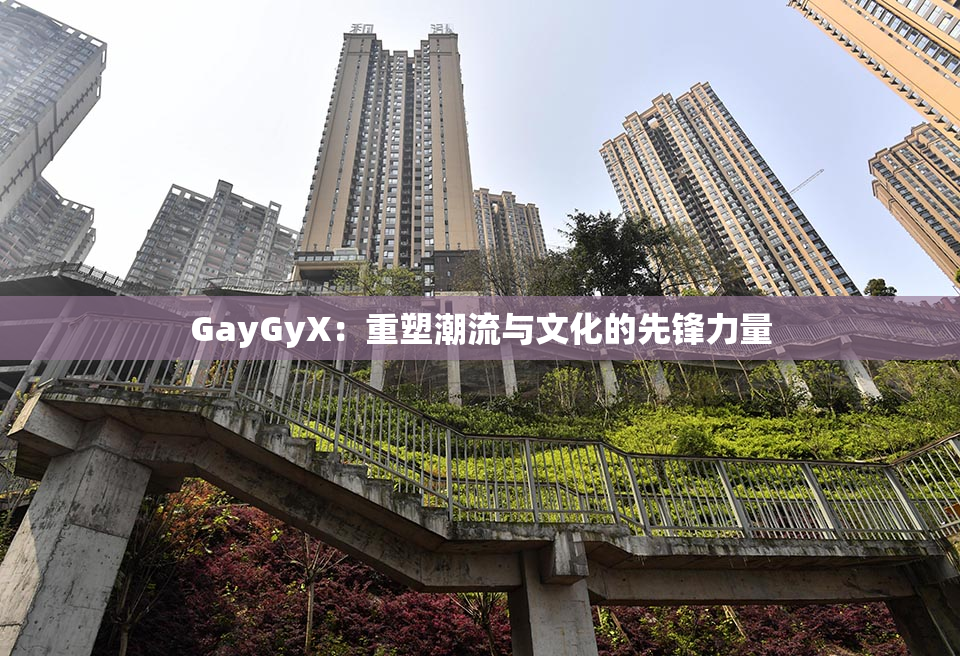 GayGyX：重塑潮流与文化的先锋力量