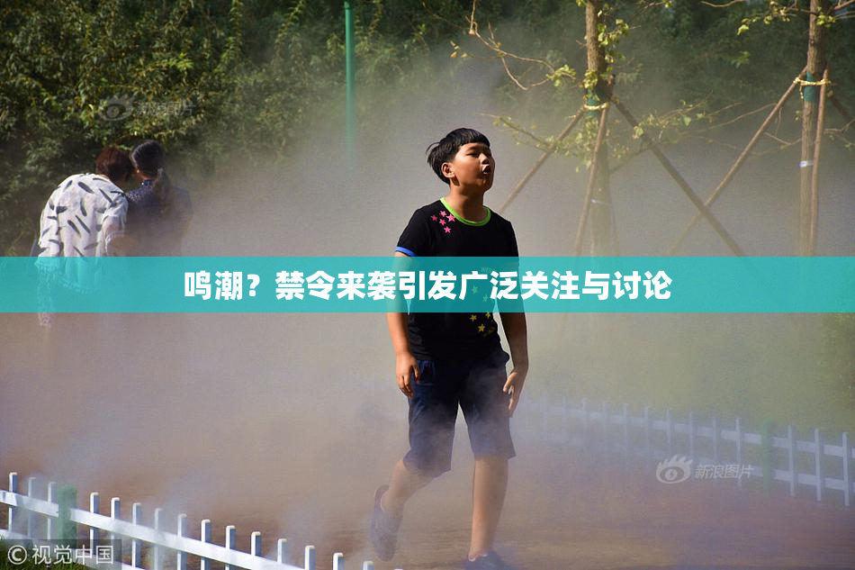鸣潮？禁令来袭引发广泛关注与讨论