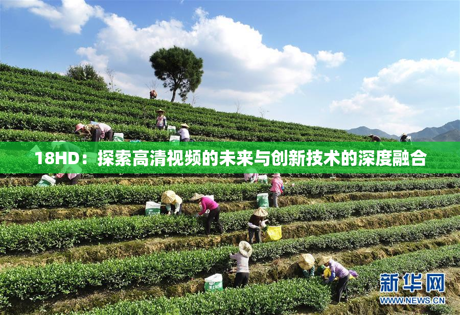 18HD：探索高清视频的未来与创新技术的深度融合