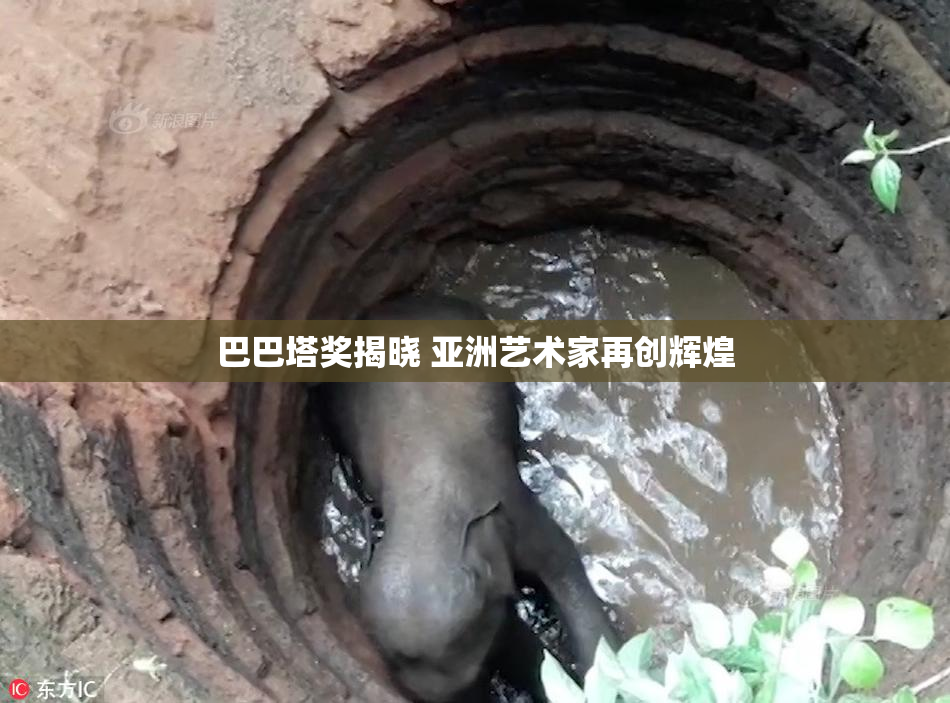 巴巴塔奖揭晓 亚洲艺术家再创辉煌