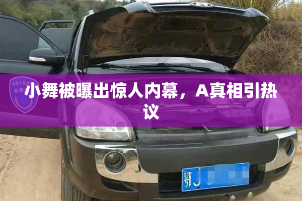 小舞被曝出惊人内幕，A真相引热议