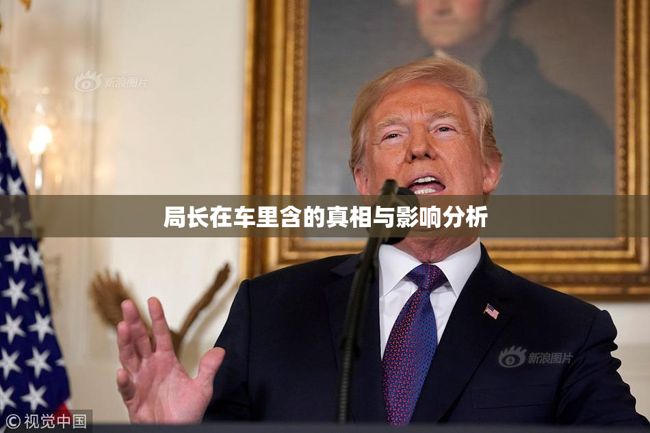 局长在车里含的真相与影响分析