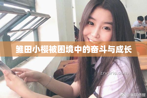 雏田小樱被困境中的奋斗与成长
