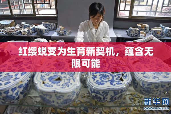 红缨蜕变为生育新契机，蕴含无限可能