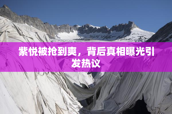 紫悦被抢到爽，背后真相曝光引发热议
