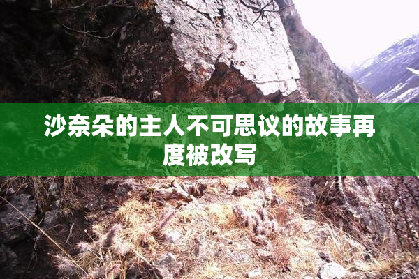 沙奈朵的主人不可思议的故事再度被改写