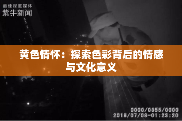 黄色情怀：探索色彩背后的情感与文化意义