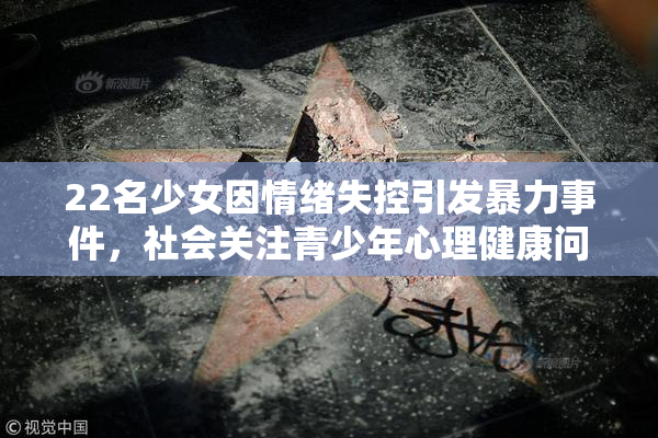 22名少女因情绪失控引发暴力事件，社会关注青少年心理健康问题