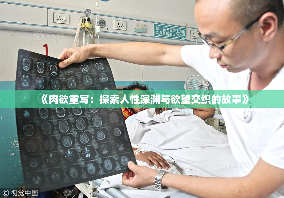 《肉欲重写：探索人性深渊与欲望交织的故事》