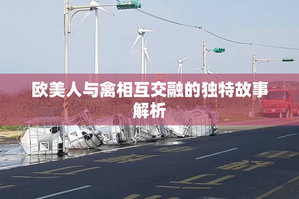 欧美人与禽相互交融的独特故事解析
