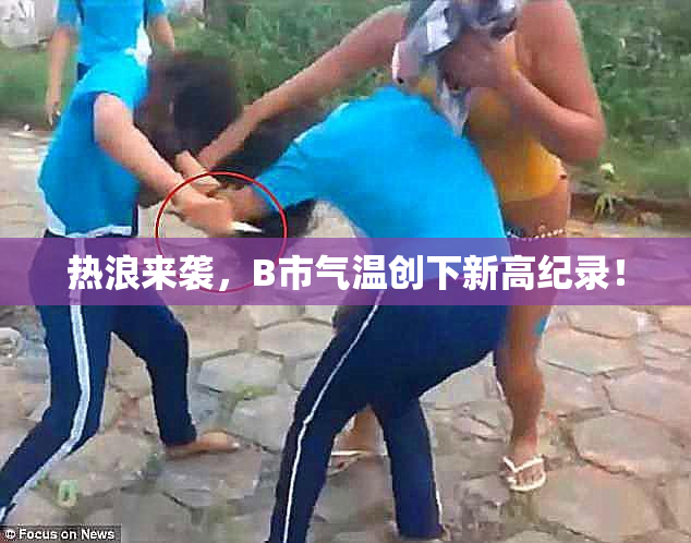 热浪来袭，B市气温创下新高纪录！