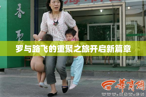 罗与路飞的重聚之旅开启新篇章