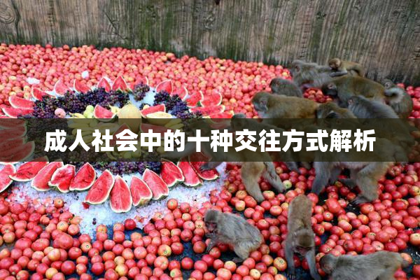 成人社会中的十种交往方式解析