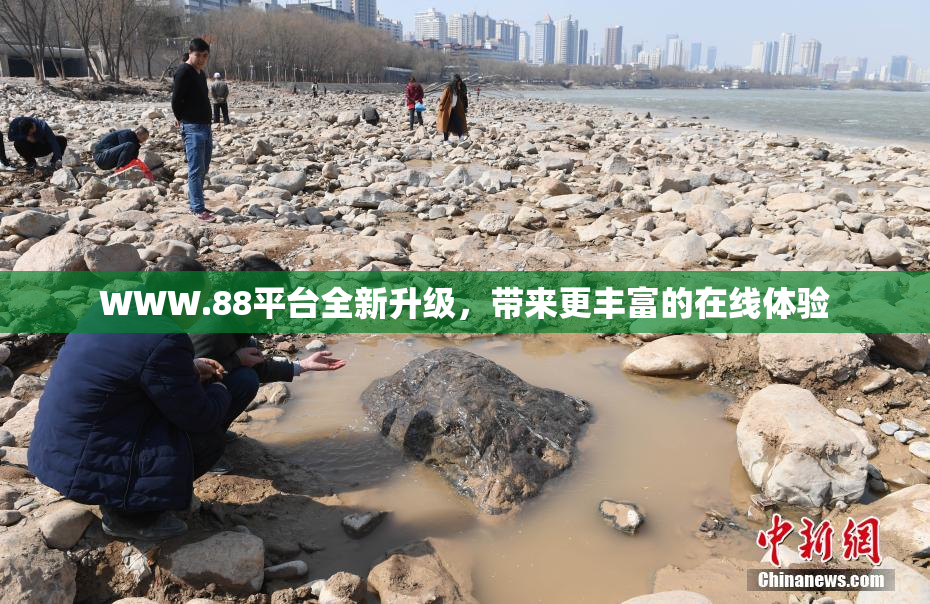 WWW.88平台全新升级，带来更丰富的在线体验