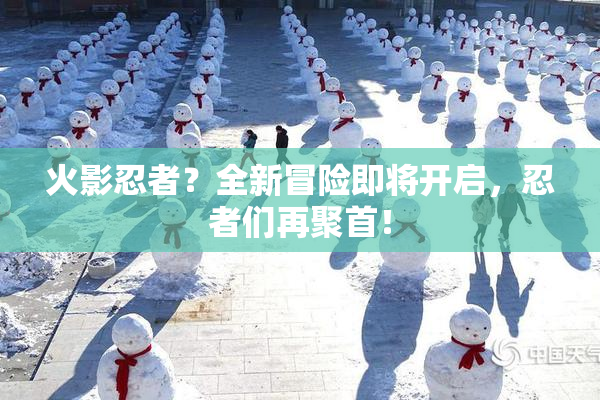 火影忍者？全新冒险即将开启，忍者们再聚首！