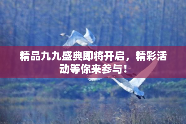 精品九九盛典即将开启，精彩活动等你来参与！