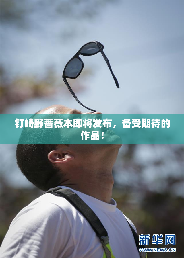 钉崎野蔷薇本即将发布，备受期待的作品！