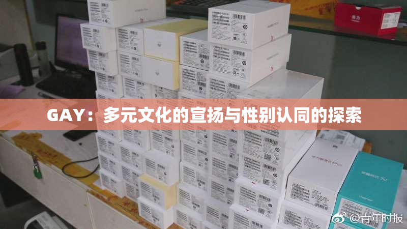 GAY：多元文化的宣扬与性别认同的探索