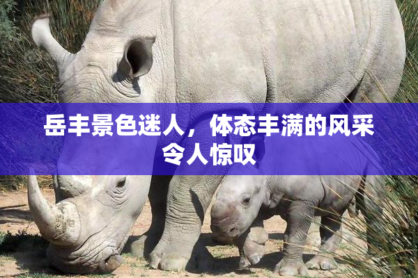 岳丰景色迷人，体态丰满的风采令人惊叹