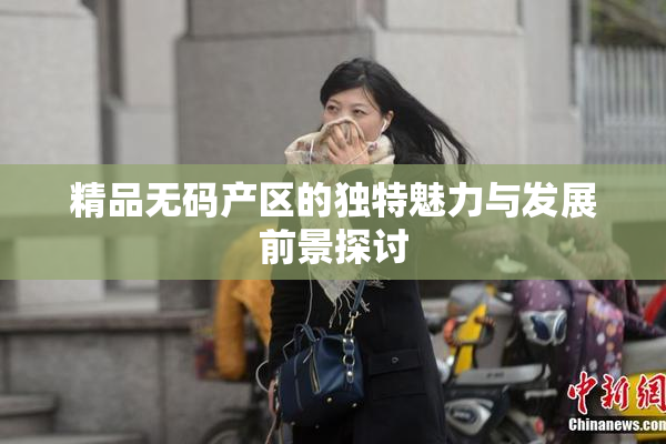 精品无码产区的独特魅力与发展前景探讨