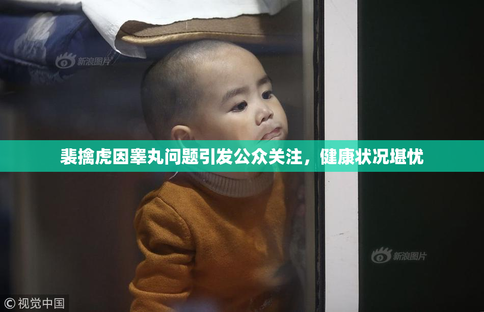 裴擒虎因睾丸问题引发公众关注，健康状况堪忧