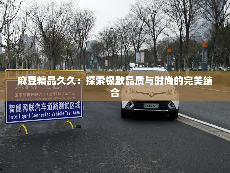 麻豆精品久久：探索极致品质与时尚的完美结合