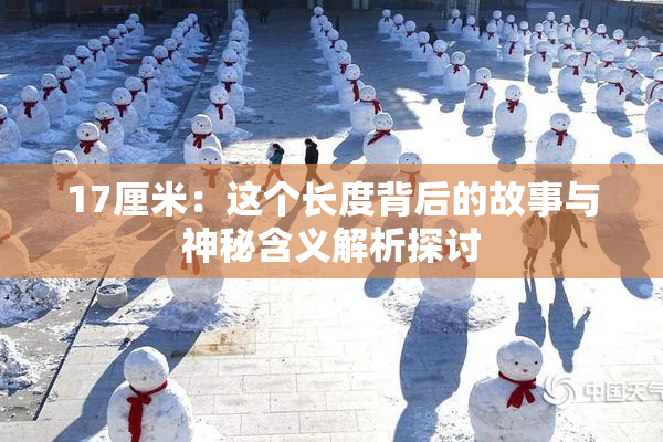 17厘米：这个长度背后的故事与神秘含义解析探讨