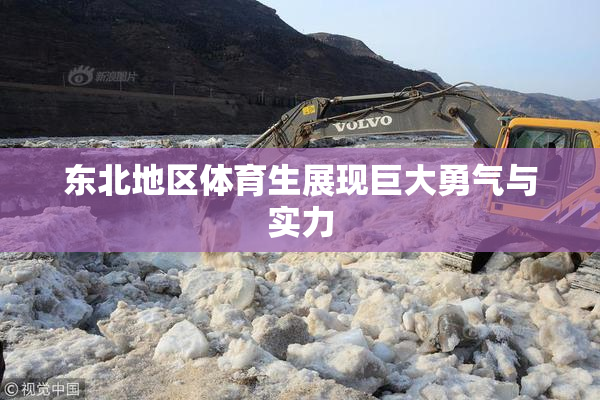 东北地区体育生展现巨大勇气与实力