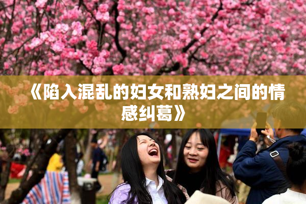 《陷入混乱的妇女和熟妇之间的情感纠葛》