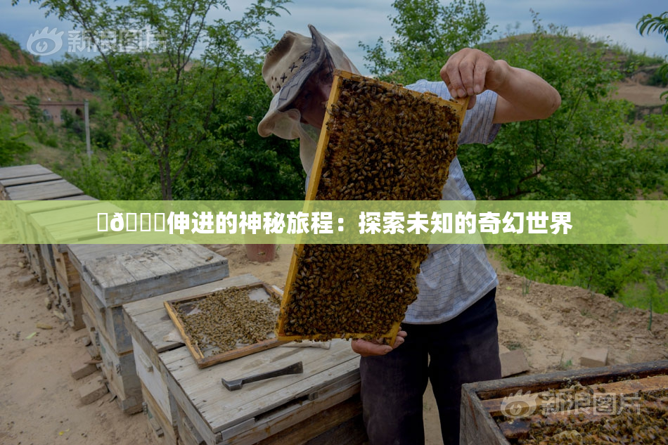 ‌🍌伸进的神秘旅程：探索未知的奇幻世界