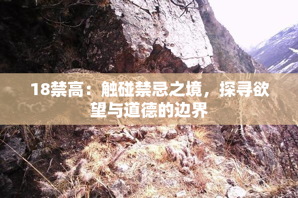 18禁高：触碰禁忌之境，探寻欲望与道德的边界