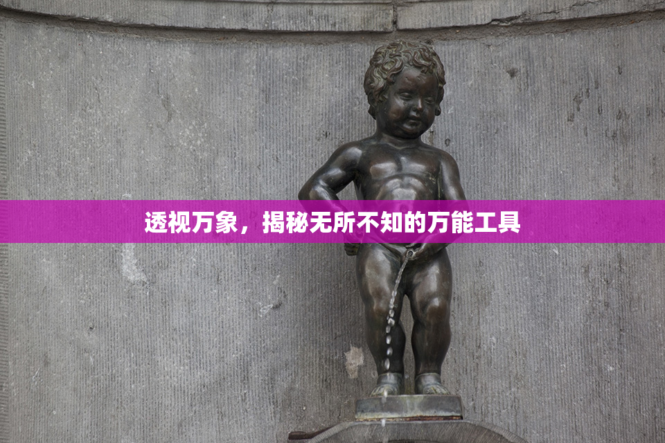 透视万象，揭秘无所不知的万能工具