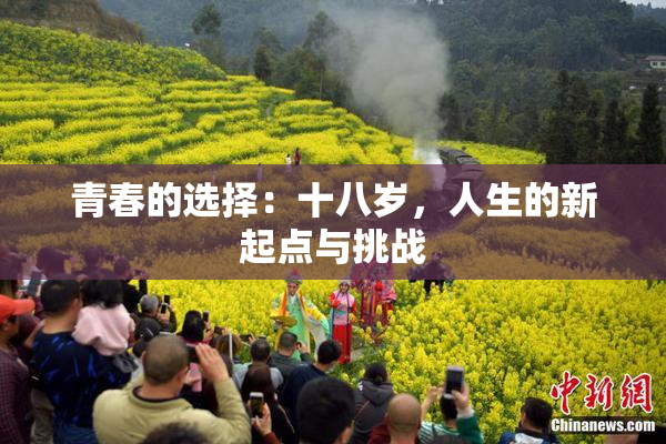 青春的选择：十八岁，人生的新起点与挑战