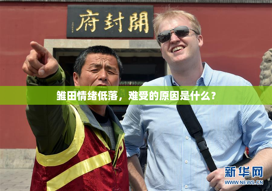 雏田情绪低落，难受的原因是什么？