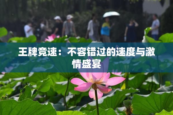 王牌竞速：不容错过的速度与激情盛宴