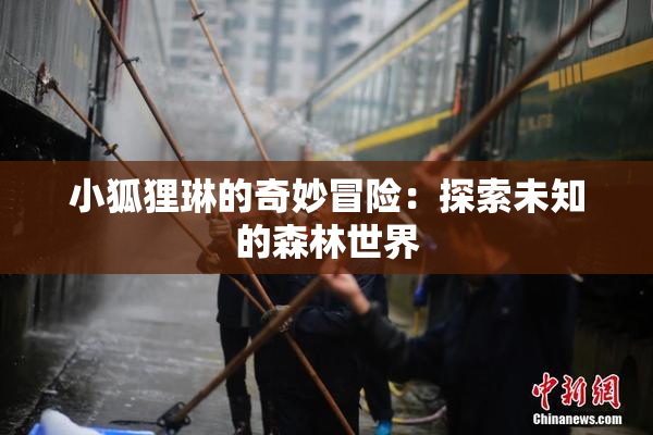 小狐狸琳的奇妙冒险：探索未知的森林世界