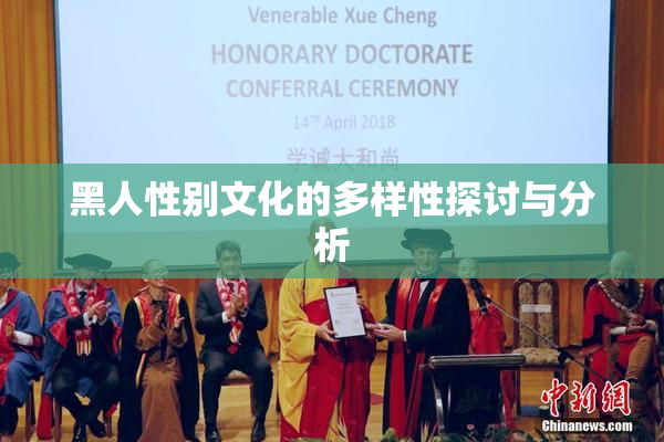 黑人性别文化的多样性探讨与分析