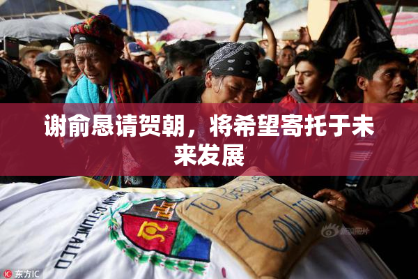 谢俞恳请贺朝，将希望寄托于未来发展