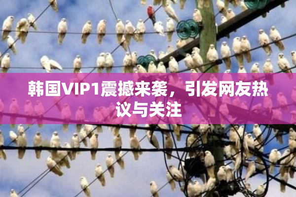 韩国VIP1震撼来袭，引发网友热议与关注