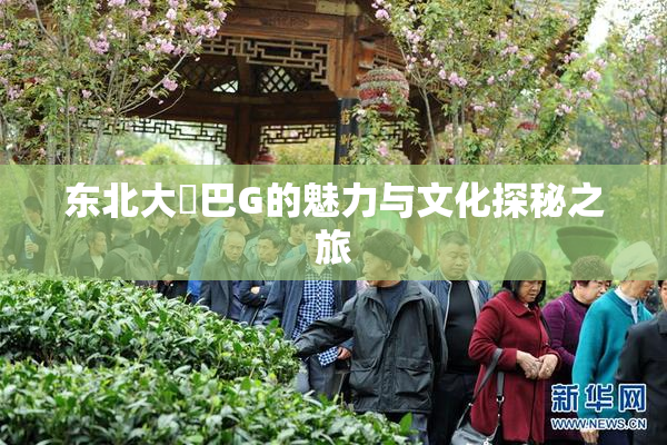 东北大鷄巴G的魅力与文化探秘之旅