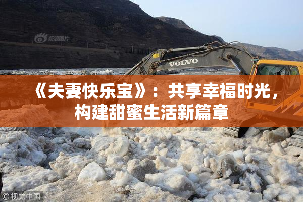 《夫妻快乐宝》：共享幸福时光，构建甜蜜生活新篇章