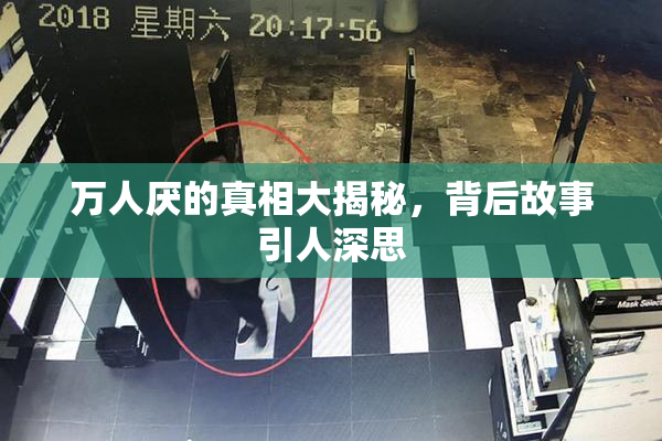 万人厌的真相大揭秘，背后故事引人深思