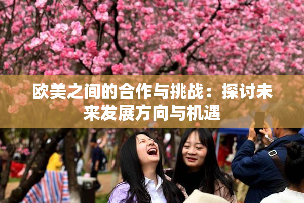 欧美之间的合作与挑战：探讨未来发展方向与机遇