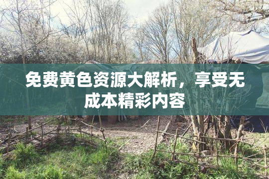 免费黄色资源大解析，享受无成本精彩内容