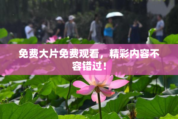 免费大片免费观看，精彩内容不容错过！