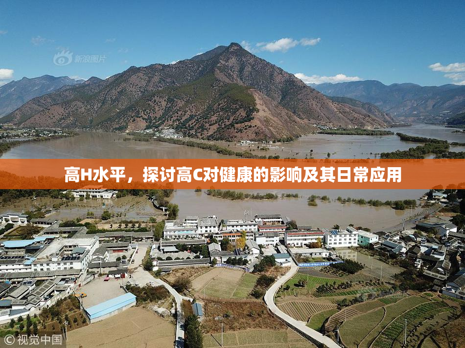 高H水平，探讨高C对健康的影响及其日常应用
