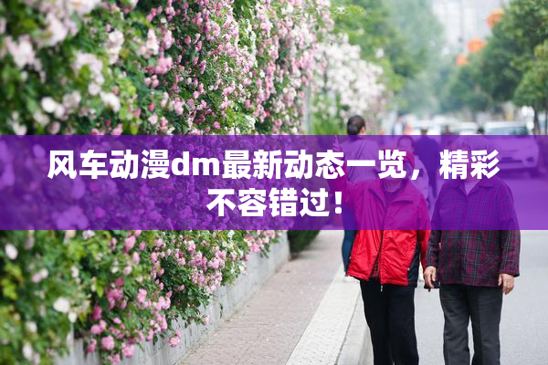 风车动漫dm最新动态一览，精彩不容错过！