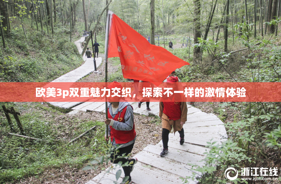 欧美3p双重魅力交织，探索不一样的激情体验