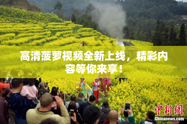 高清菠萝视频全新上线，精彩内容等你来享！