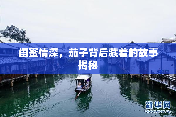 闺蜜情深，茄子背后藏着的故事揭秘